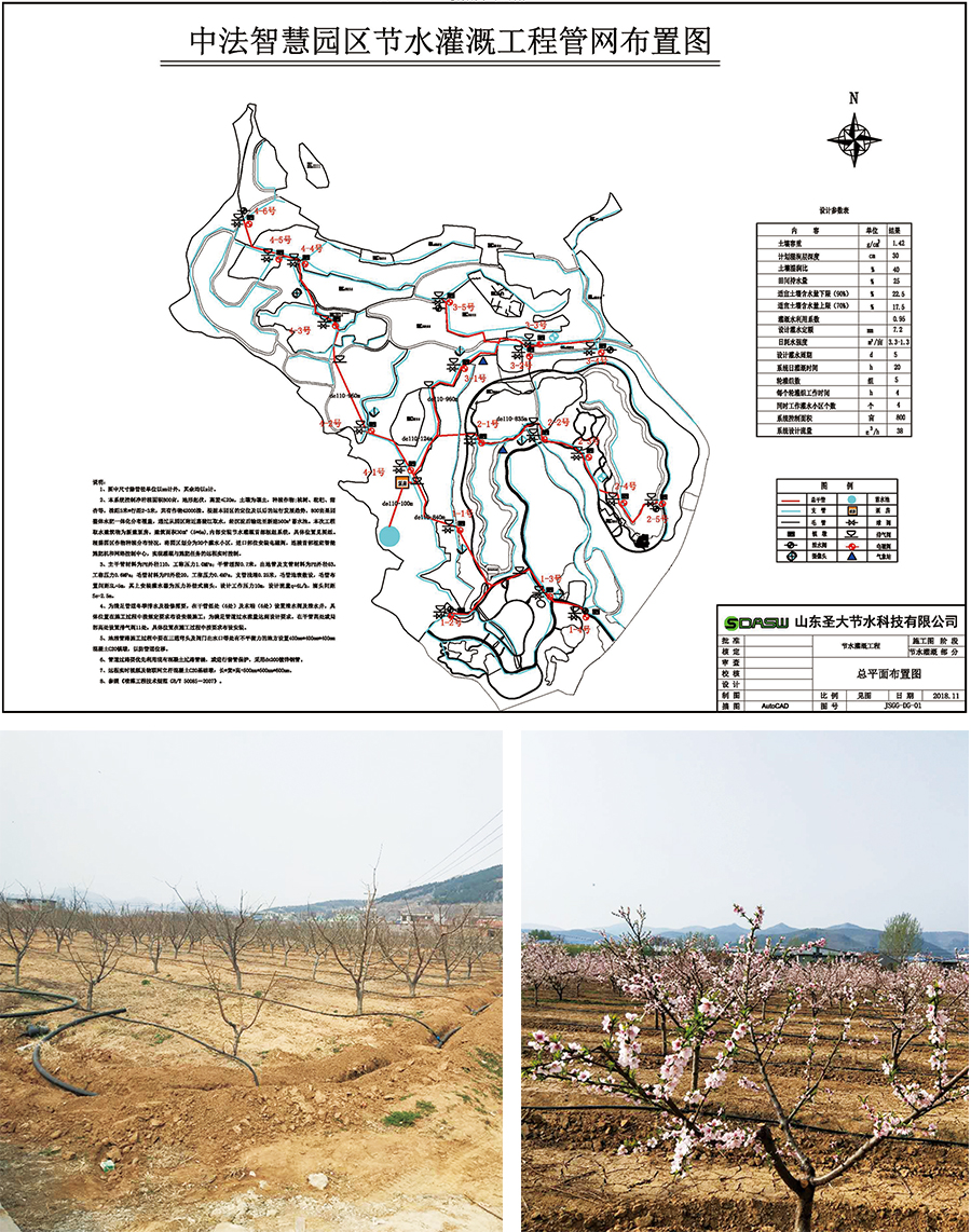 1599557702570359.jpg 2.jpg