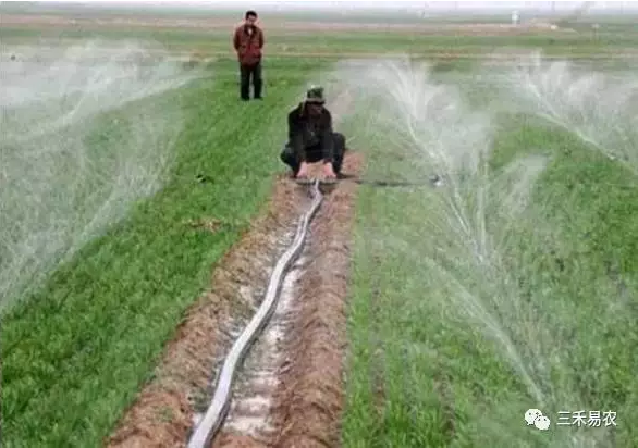 水肥一体化 水肥一体化