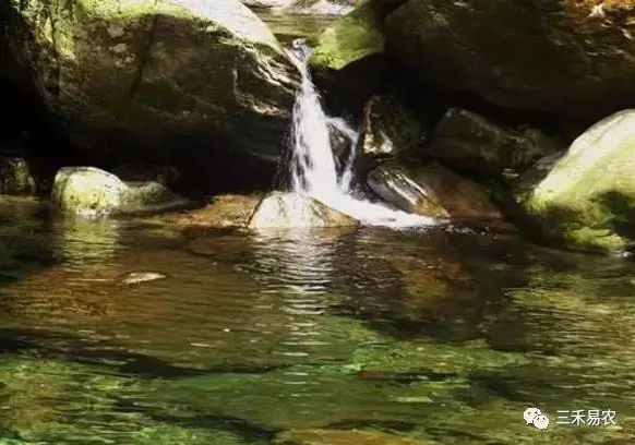 水肥一体化 水肥一体化