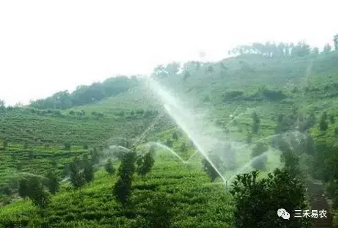 水肥一体化 水肥一体化