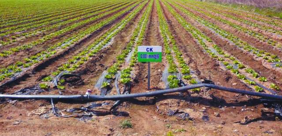 水肥一体化 水肥一体化