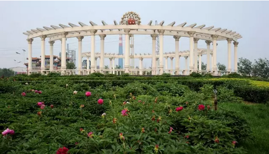 水肥一体化 水肥一体化