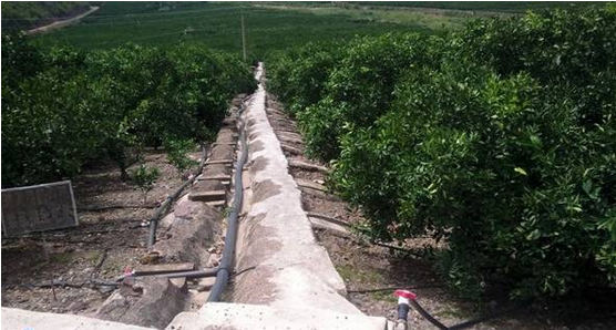 水肥一体化 水肥一体化