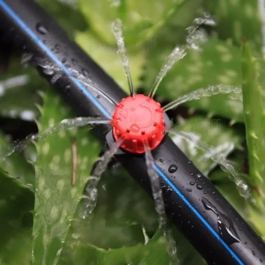 水肥一体化 水肥一体化