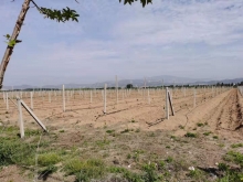 营口智能农业物联网设备