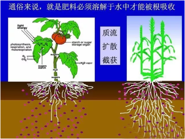 微信截图_20220117130347.png