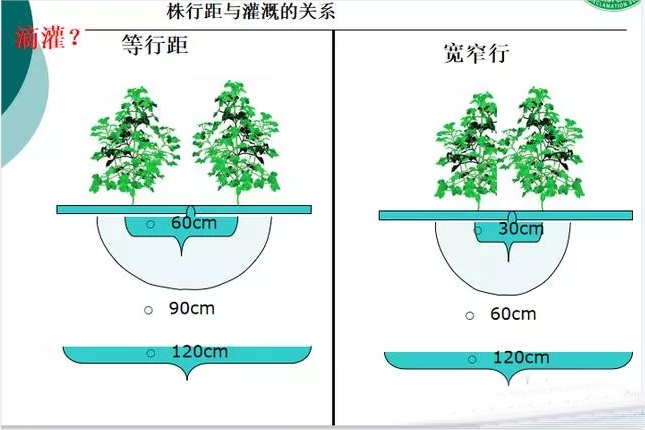 微信截图_20220117131558.png