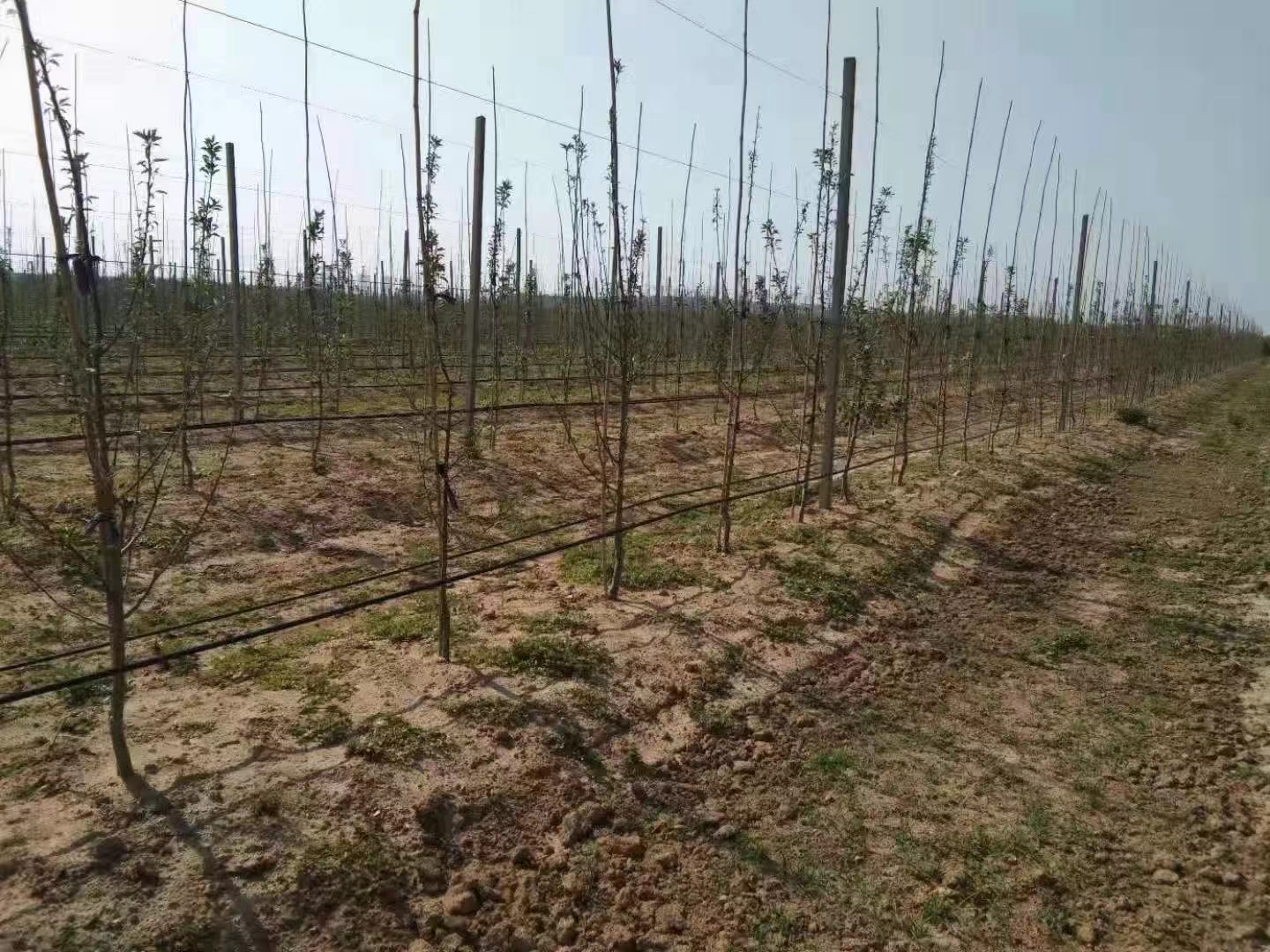 1647935186803437.jpg 微信图片_202203221547411.jpg