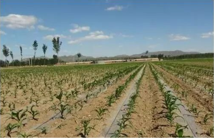 1647936781654895.png 微信截图_20220322161349.png