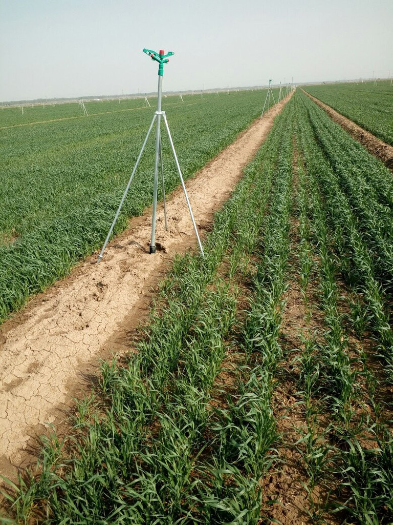 1650095569571483.png 图片1.png