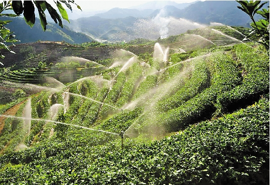 1650095636211456.jpg 5b1a448793c4b803c56f33ae15c5a1d.jpg