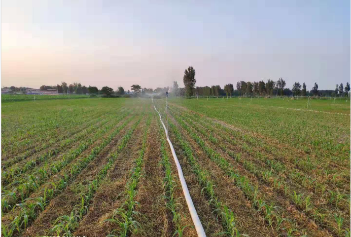 1658796122186459.png 微信截图_20220726083652.png