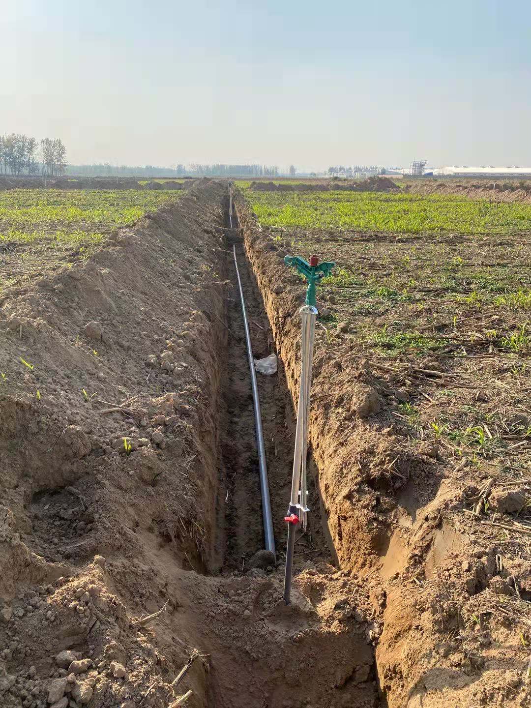 1658796262151596.jpg 微信图片_202011111011197.jpg