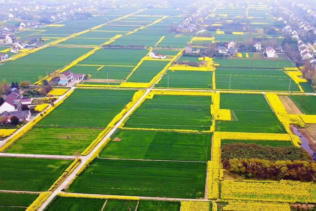 1658796332134874.png 图片1.png